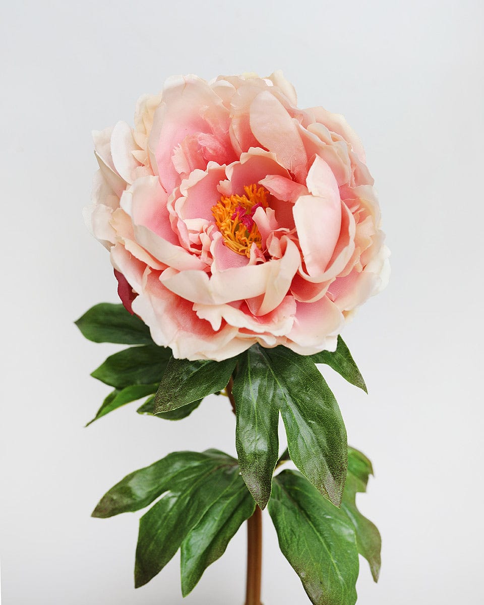 Real-touch peony bloom and foliage in detail