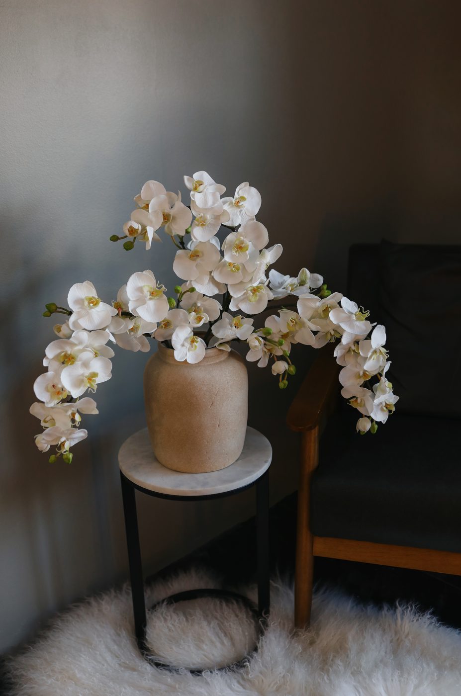 Prestige real-touch white orchids styled at home