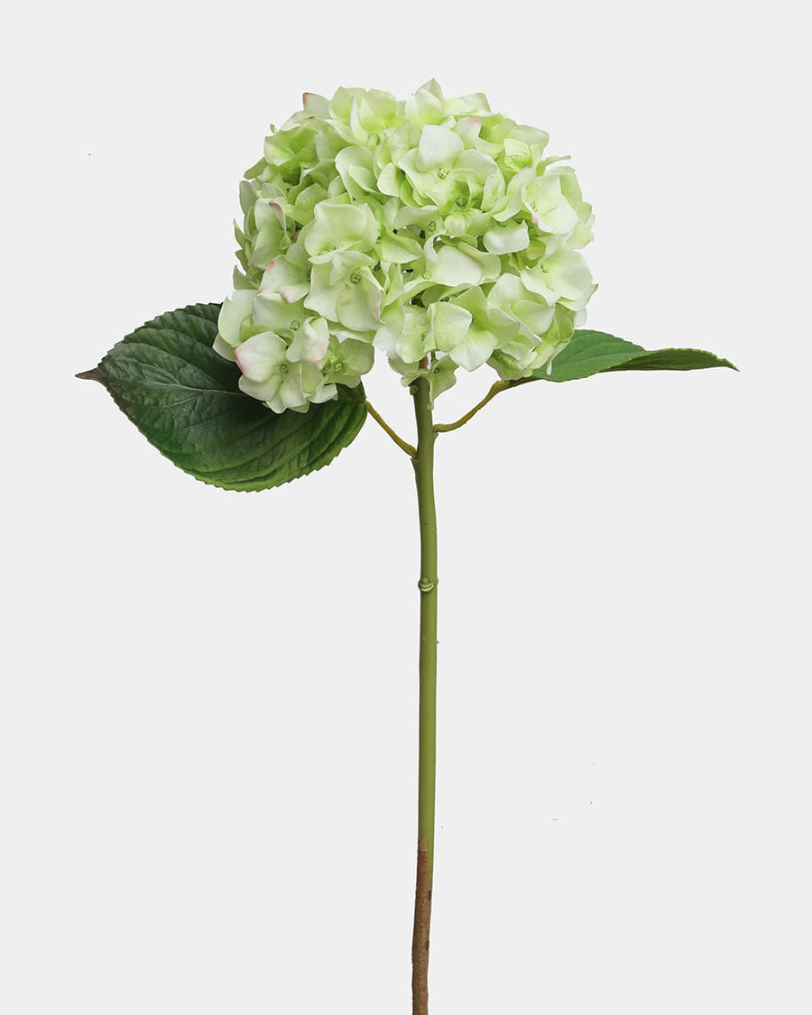 Real Touch Green Hydrangea