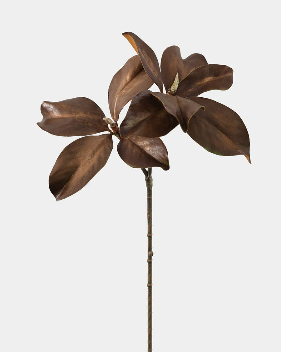 Fall Magnolia Leaf Branch