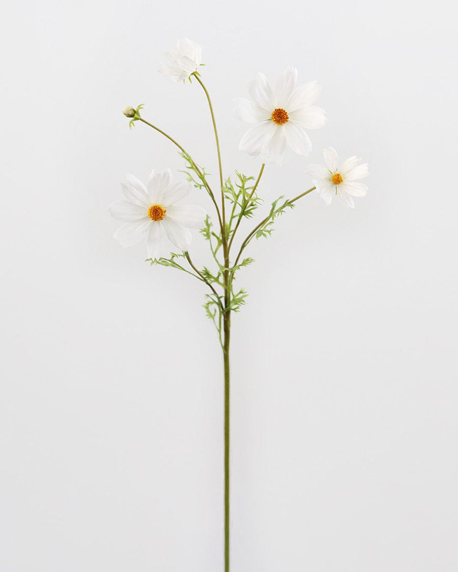 Real Touch White Cosmos