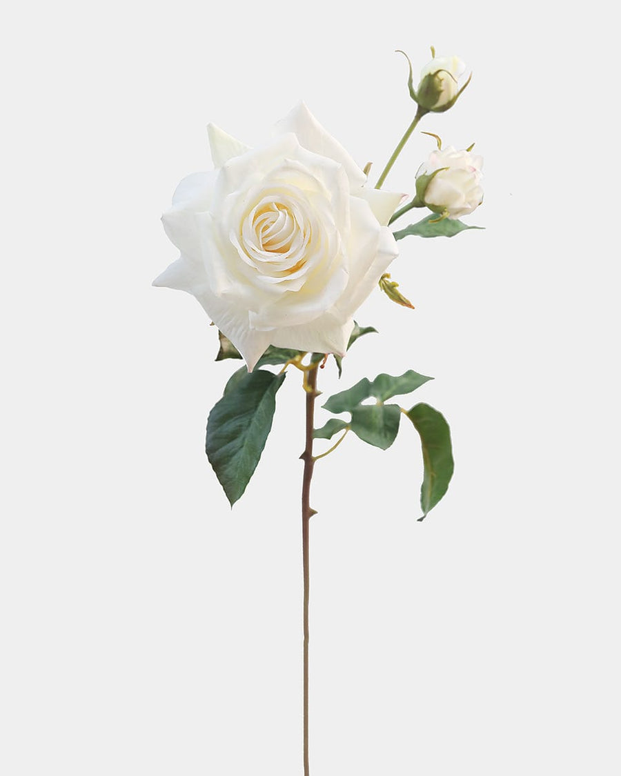 Real Touch White Rose